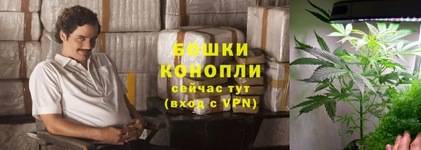 соль ск Нея