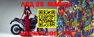 СК Ирбит