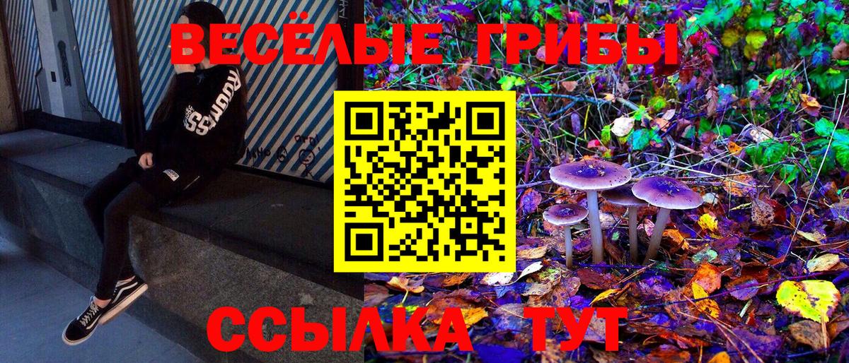 Галлюциногенные грибы ЛСД Сарапул