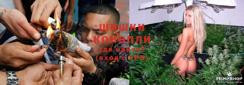 Бошки марихуана THC 21%  где купить   Сарапул 